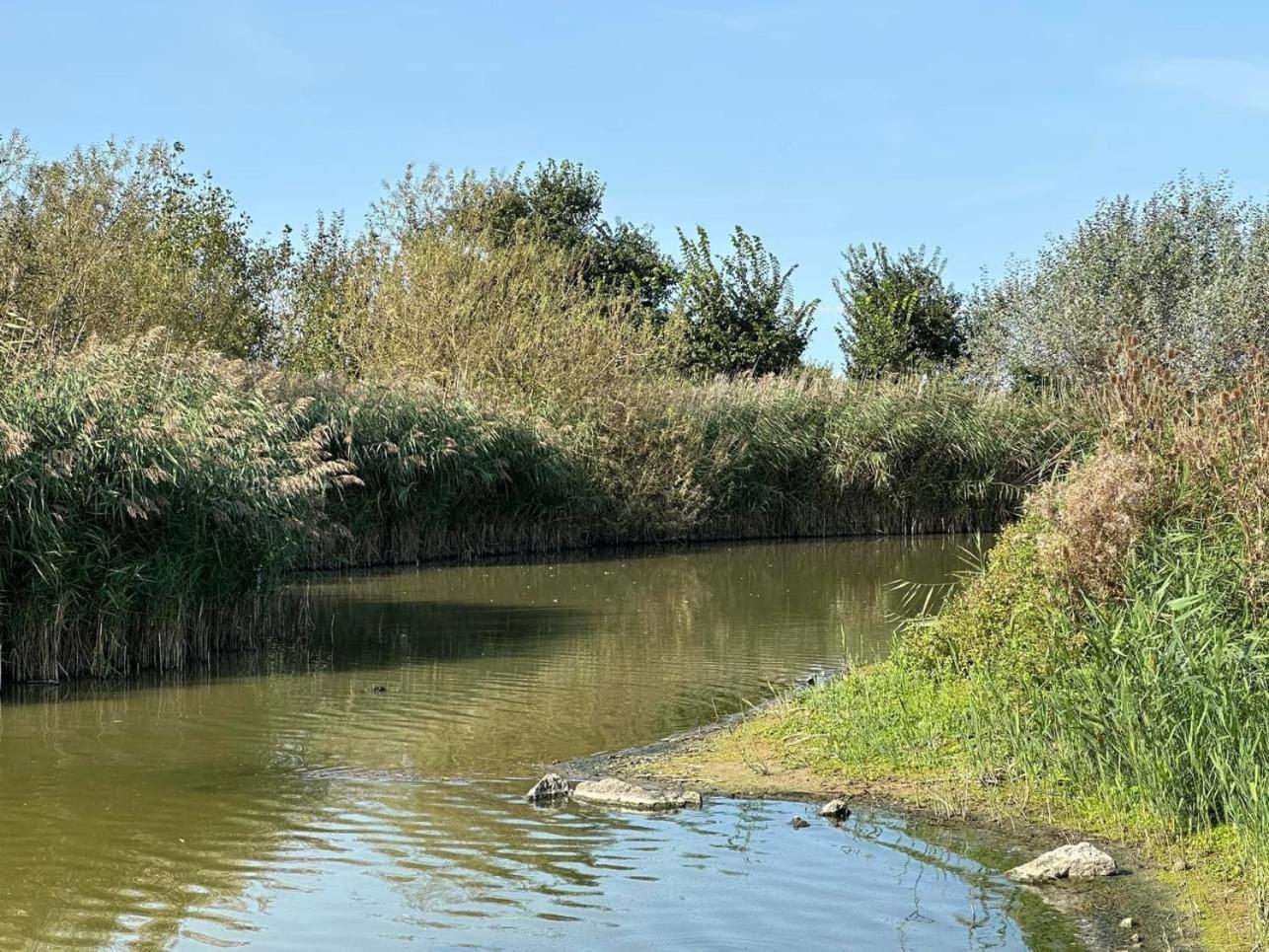 וונדואן Hotel Les Mouettes מראה חיצוני תמונה