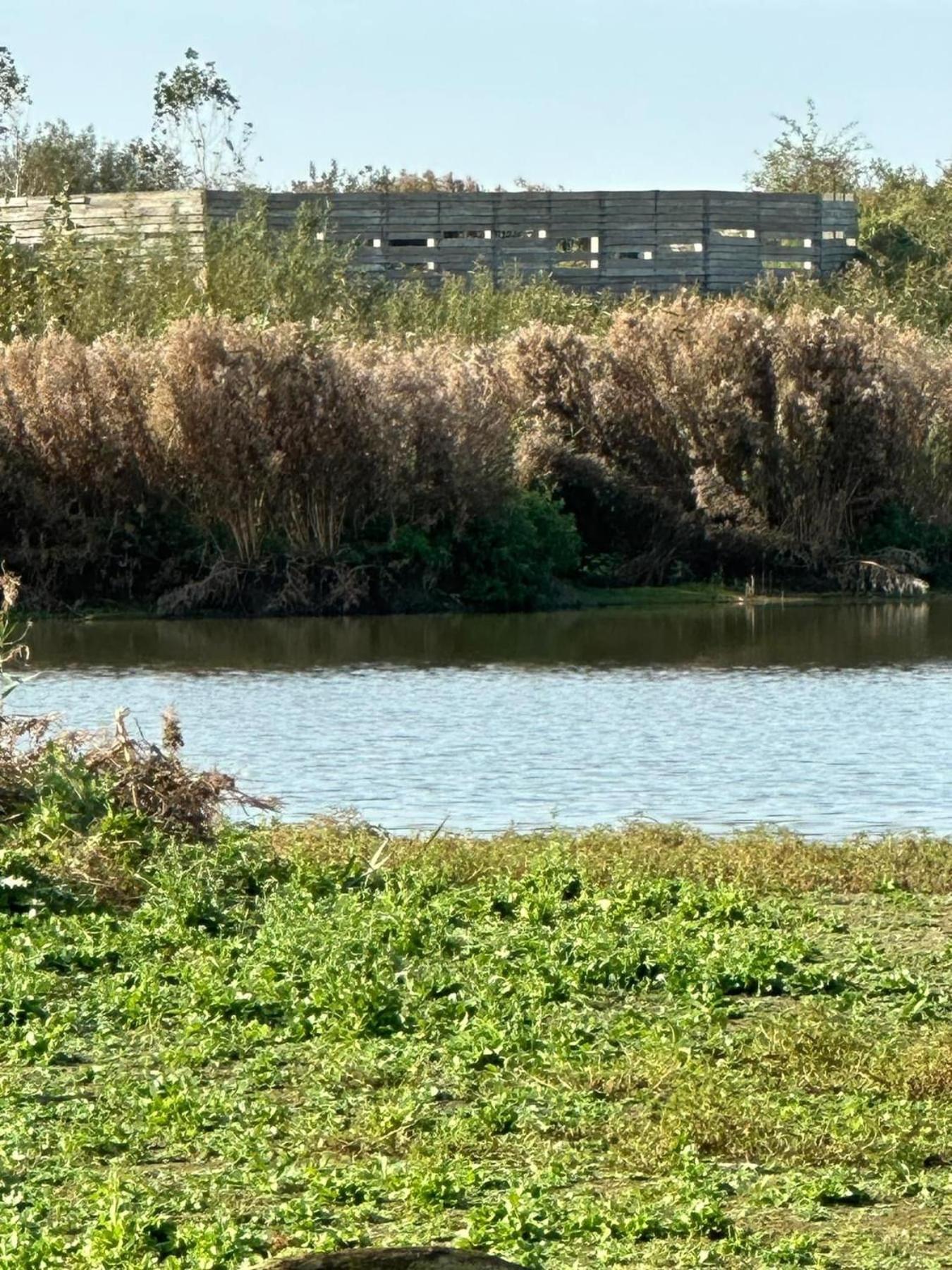 וונדואן Hotel Les Mouettes מראה חיצוני תמונה